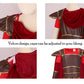 Lmyove Kids Warrior Costume, Halloween Boys Roman Soldier Gladiator Viking Medieval Historical Role Playing Party 4-11Y (Medium,Brown)