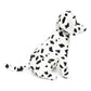 Weigedu Dalmatian Stuffed Animals, Stuffed Dalmatian, Stuffed Puppy Dog Plush Toys For Boy Girl Kids Birthday, 12 Inches