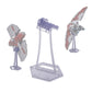 Display Stand For Lego 75362 Ahsoka Tanos T-6 Jedi Shuttle. Plastic Transparent Angled Display Stand Only.