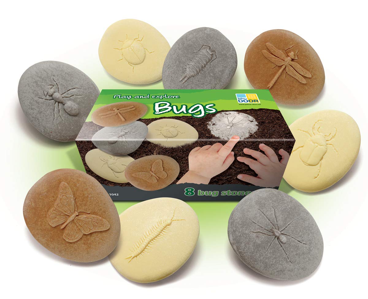 Play And Explore Bugs