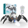 DEERC Remote Control Spider, Realistic Robot Spider with Spray and Lights, RC Big Boy Toys, Gifts for Kids, Easter Birthday Part