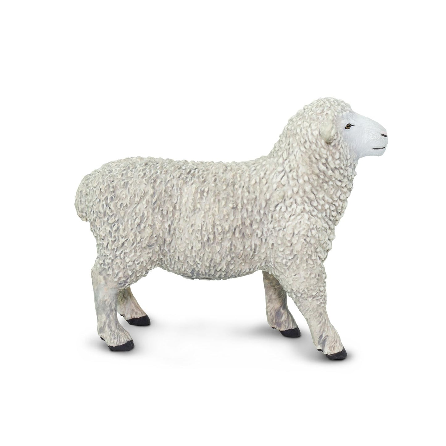 Safari 162429 Farm Sheep Minature