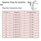 Mhwtty Anxiety Ring For Women Fidget Ring Spinner Rings For Anxiety Fidget Rings For Anxiety For Women Anxiety Toys Anxiety Relief Toys Gift For Women Men (Silver_A, 6)