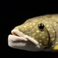 ZHONGXIN MADE Northern Pike Plush Toy - 18.5" Soft Educational Stuffed Animal - Yellow Ocean Depth Model for Kids