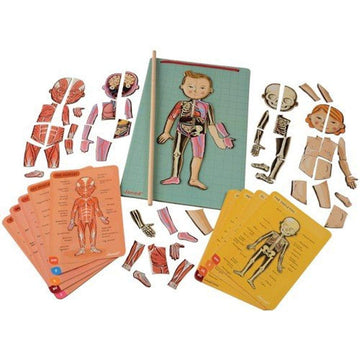Janod Bodymagnet Educational Human Body Game - Anatomy, Organs, Skeleton, Muscles - 76 Magnetic Pieces - From 7 Years Old, 12 Languages, J05491 Includes 18 Cards, 76 Body Part Magnets And 1 Pointer Stick