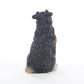 Conversation Concepts Australian Shepherd Tricolor Docked Tiny Ones Dog Figurine