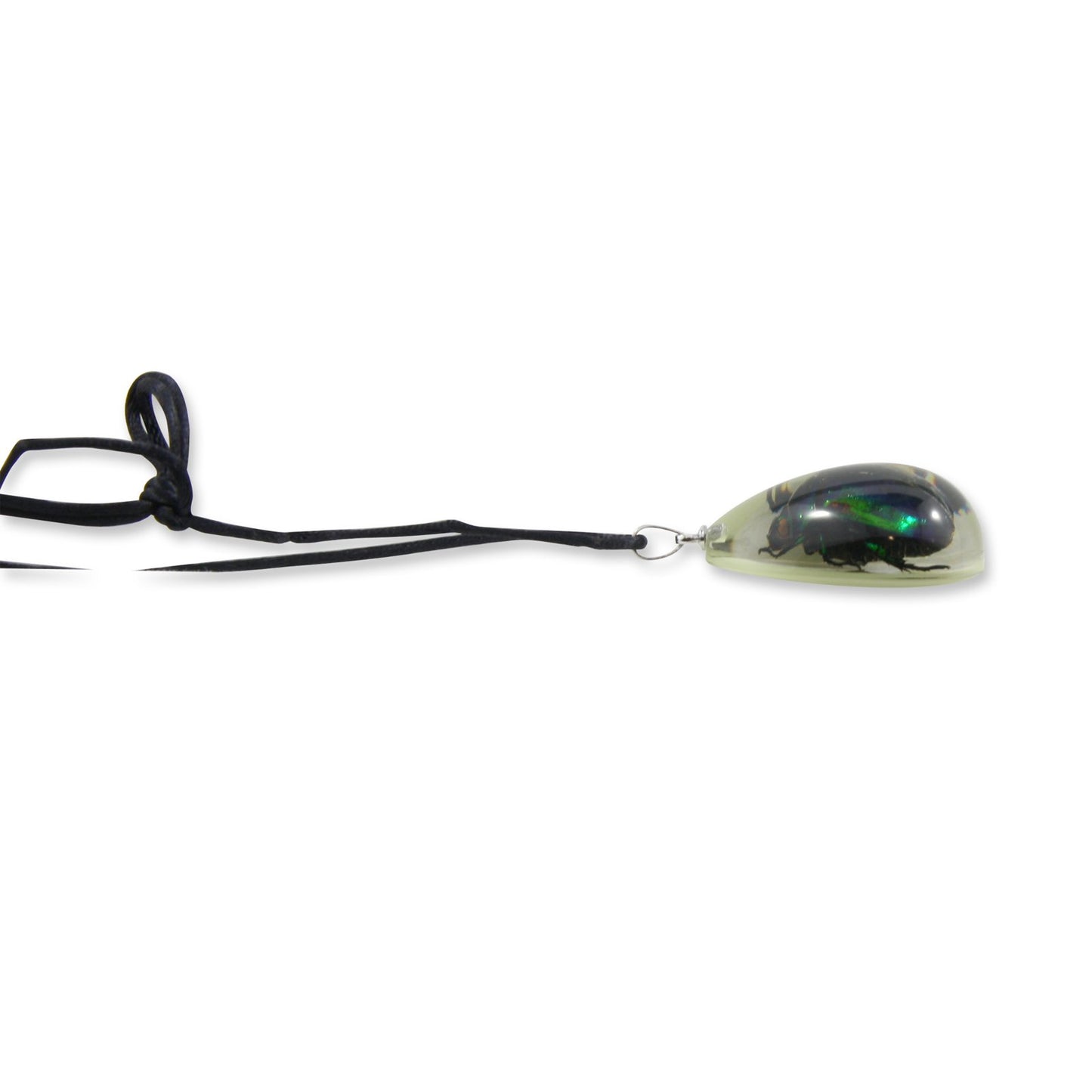 Realbug Green Chafer Beetle Glow In The Dark Necklace, Small , Black