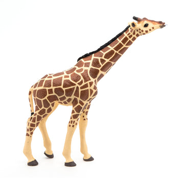 Papo -Hand-Painted - Figurine -Wild Animal Kingdom - Head Raised Giraffe -50236 -Collectible - For Children - Suitable For Boys And Girls- From 3 Years Old