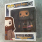 POP! Movies: Harry Potter - Rubeus Hagrid #07 (15cm) Vinyl Figure,Standard