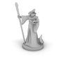 Dragonborn Wizard Male Tabletop DND Gaming Miniature