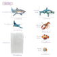 Chefan Ocean Animal Felt Board Story Pieces, Flannel Under The Sea Figure Precut Graph Marine Animals Themed Toy For Preschool S
