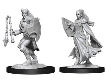 D&D Nolzur'S Marvelous Miniatures: Kalashtar Cleric Female