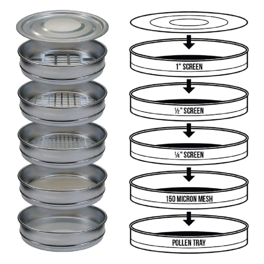 Bubble Magic 12'' Premium Bud