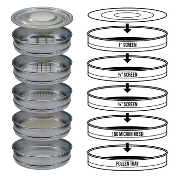 Bubble Magic 12'' Premium Bud
