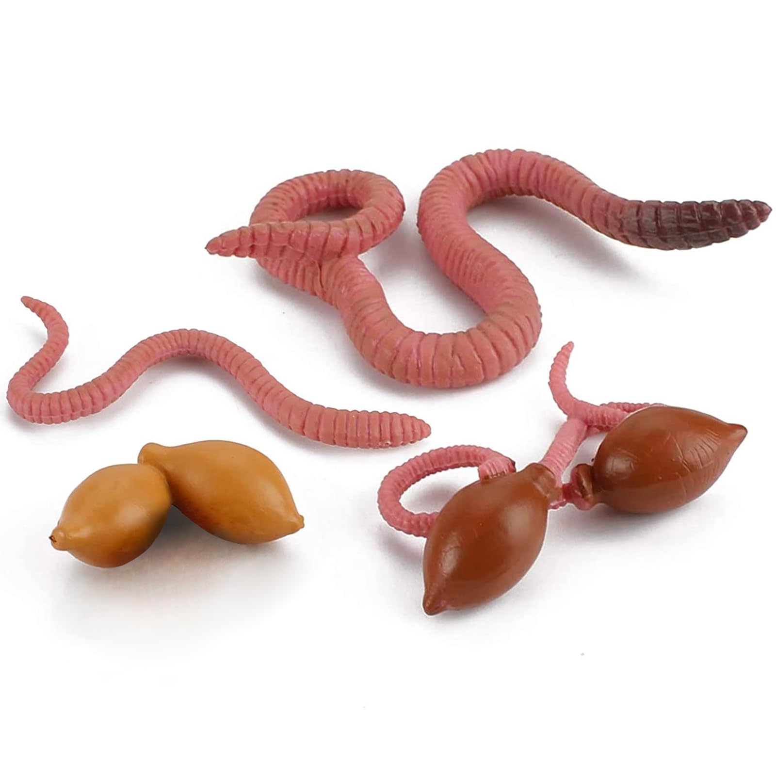 Life Cycle of Earthworm Toys Earthworm Life Cycle Figurines Set Realistic Preschool Animals Figures Eduactional Project Diorama Model Toy for Kids