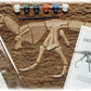 Skullduggery Eyewitness Kit Dinoworks Tyrannosaurus Rex Skeleton Casting Kit