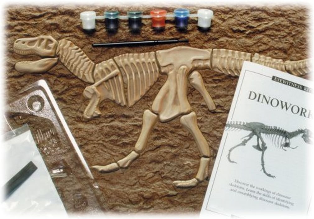 Skullduggery Eyewitness Kit Dinoworks Tyrannosaurus Rex Skeleton Casting Kit