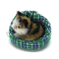 Coolayoung 4Pcs Sleeping Cat In Cattery Doll Toy, Mini Kitten On Pet Pad Decor For Office Desk Hand Toy Gift For Kids Boys Girls