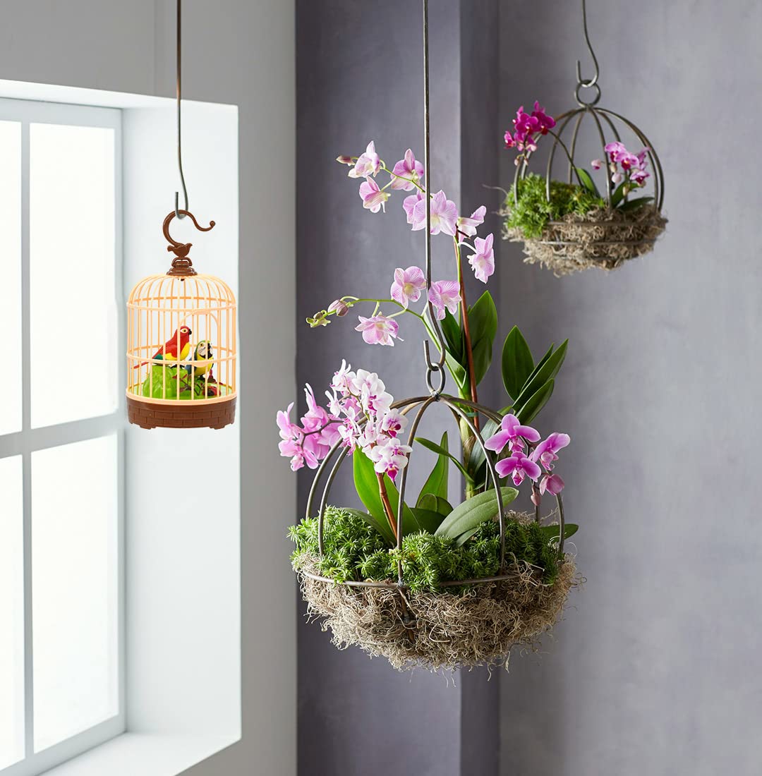 Hwd Voice-Activated Induction Birds Birdcage Toy, Talking Chirping Fluttering Parrot Birds Toys Gifts For Baby Toddler Kids Children (B)