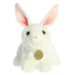 Aurora - Miyoni - 10' American White Rabbit