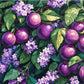 Tulip N Turtle Berries Diy Acrylic Paint By Number Kit For Adults Beginner Canvas Painting By Number Acrylic Painting. Wall Deco