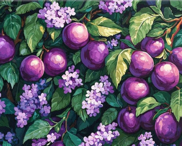 Tulip N Turtle Berries Diy Acrylic Paint By Number Kit For Adults Beginner Canvas Painting By Number Acrylic Painting. Wall Deco