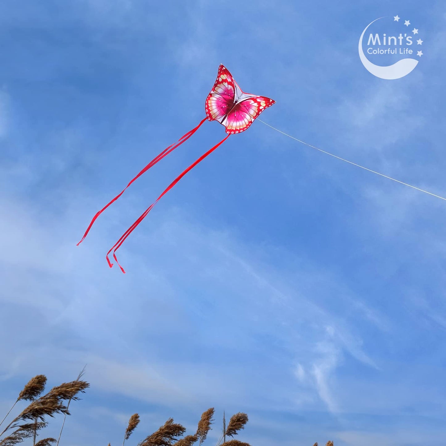 Butterfly Kite