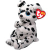 Ty Beanie Bellie Rowdy - Dalmation Dog - 6'', White/Black