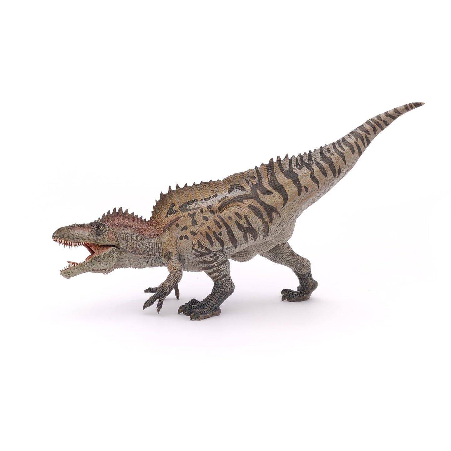 Papo - Acrocanthosaurus - Realistic Figurine - 3 Years Old - Dinosaurs Collection - Hand Painted - Educational Dinosaur Toy - Fa