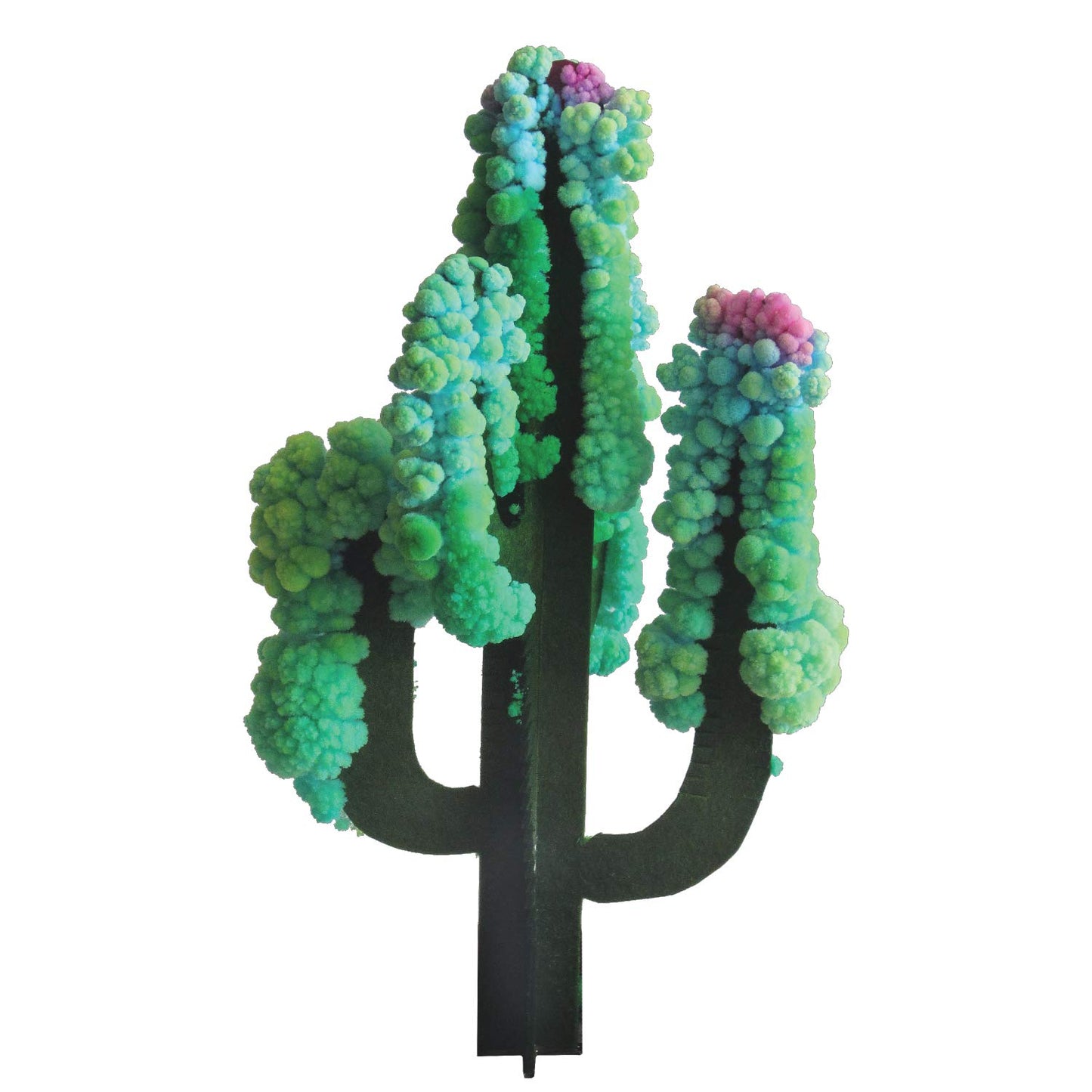 Copernicus Toys Crystal Growing Saguaro Cactus Official Terraformer Kit | Grows In Hours | Facts And Instructions Included