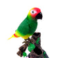 Az Trading & Import Bc505G Talking Parrot
