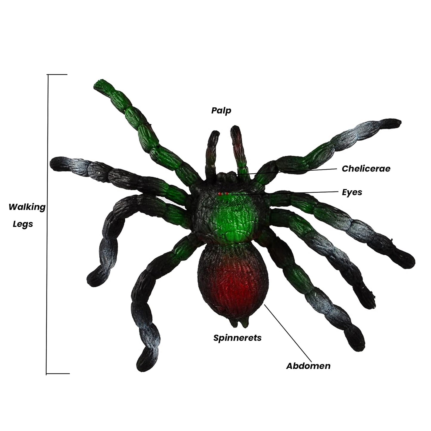 BOHS Rubber Jiggly Spider - Stretch & Squeeze - Realistic Big Soft Stretchy - Halloween Squishy Toy - Prank Bugs