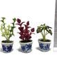 3pc Miniature Flower Clay Dollhouse Fairy Garden Mini Plant Trees Ceramic Paint Furniture Bundles Artificial Flowers Tiny Orchid