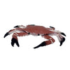 Rep Pals - Crab, Stretchy Toy from Deluxebase. Super Stretchy Animal replicas That Feel Real, Great for Kids