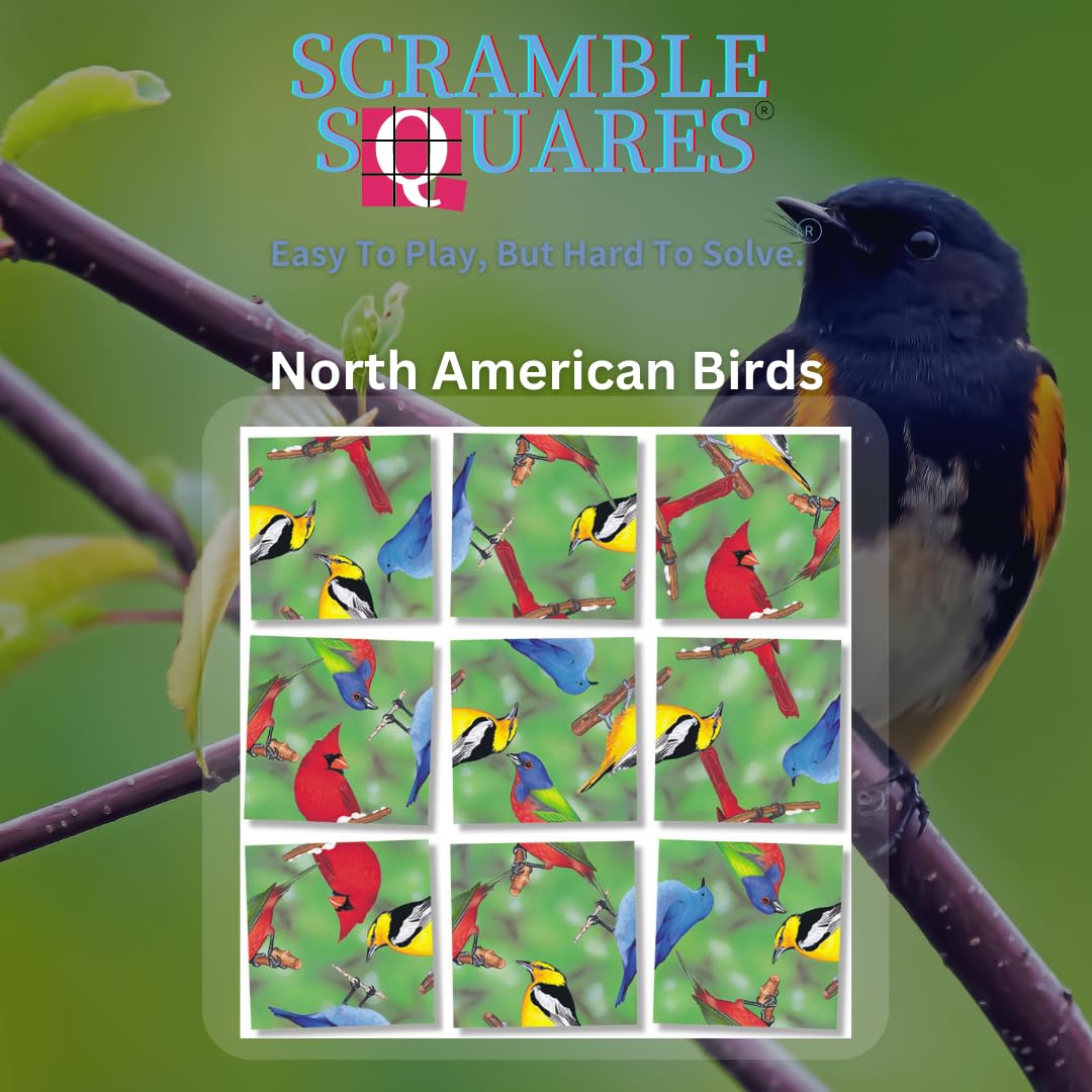 B.Dazzle Scramble Squares North American Birds Puzzle - One Size, Green, Laminated Cardboard, Model 10016
