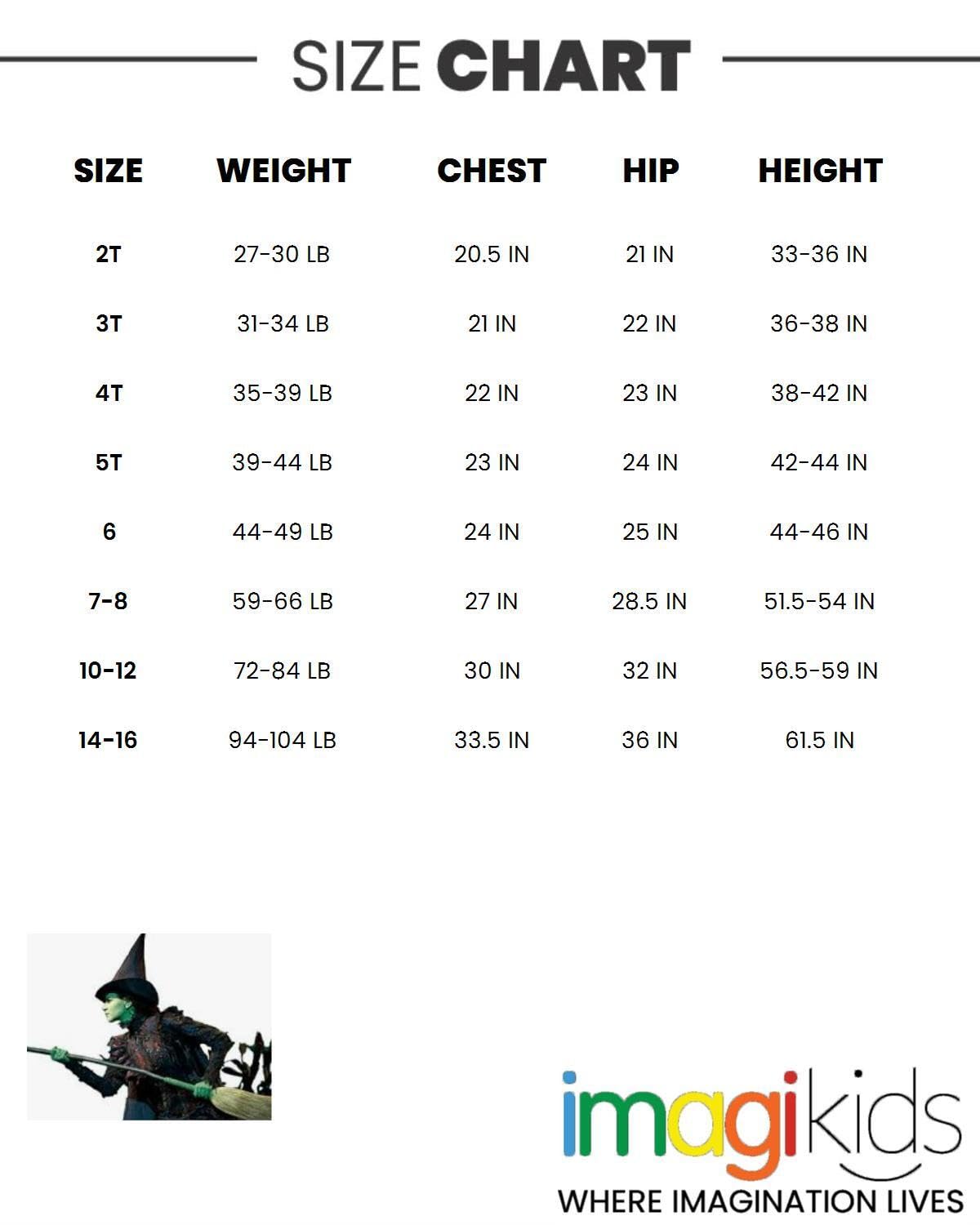 Wicked Universal Studios Elphaba Big Girls Cosplay Tulle Dress Green/Black 10-12