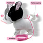 Yh Yuhung Walking French Bulldog Puppy Stuffed Animal With Remote Control Leash, Walking And Barking Bulldog On Leash Toy, Electronic Dog Toy For Kids Age 3-5