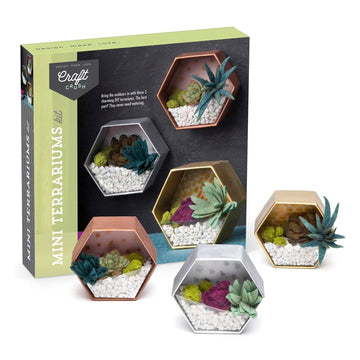 Craft Crush - Mini Plants Terrariums Easy Fun Arts and Craft Kit - Make 3 Charming Faux Terrariums! - For Ages 13 and Up