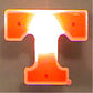 Blinkee Tennessee University