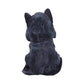 Nemesis Now Grim Reaper Cat Figurine, Hand-Painted Black Kitten With Olive Eyes And Skull Charms, Gothic Collectible Decor, 16Cm