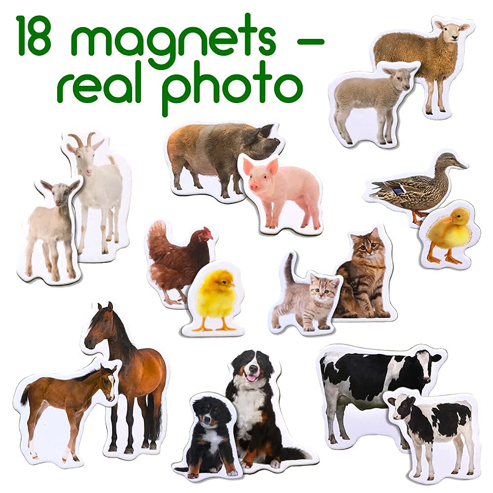 18 Fridge Magnets For Toddlers Magdum - Mom And Baby Kids Magnets For Fridge - Toddler Magnets For Refrigerator - Magnetic Animals - Fridge Magnets For Kids - Animal Magnets - Toddler Fridge Magnets