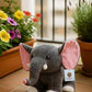GOLDENHUB TOYS Teddy Elephant Standing Soft Plush Toy