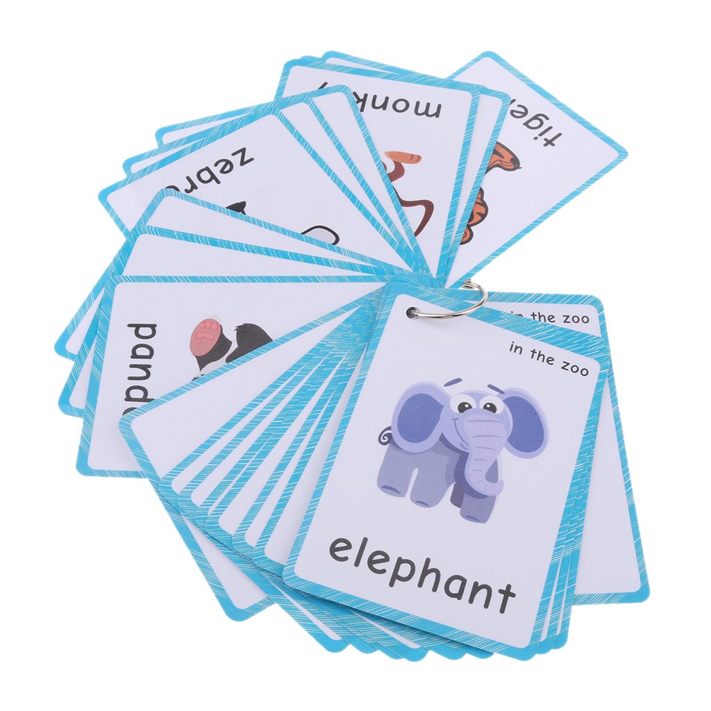 Styleheaven Preschool Educational Flash Cards In The Zoo  32 Pieces