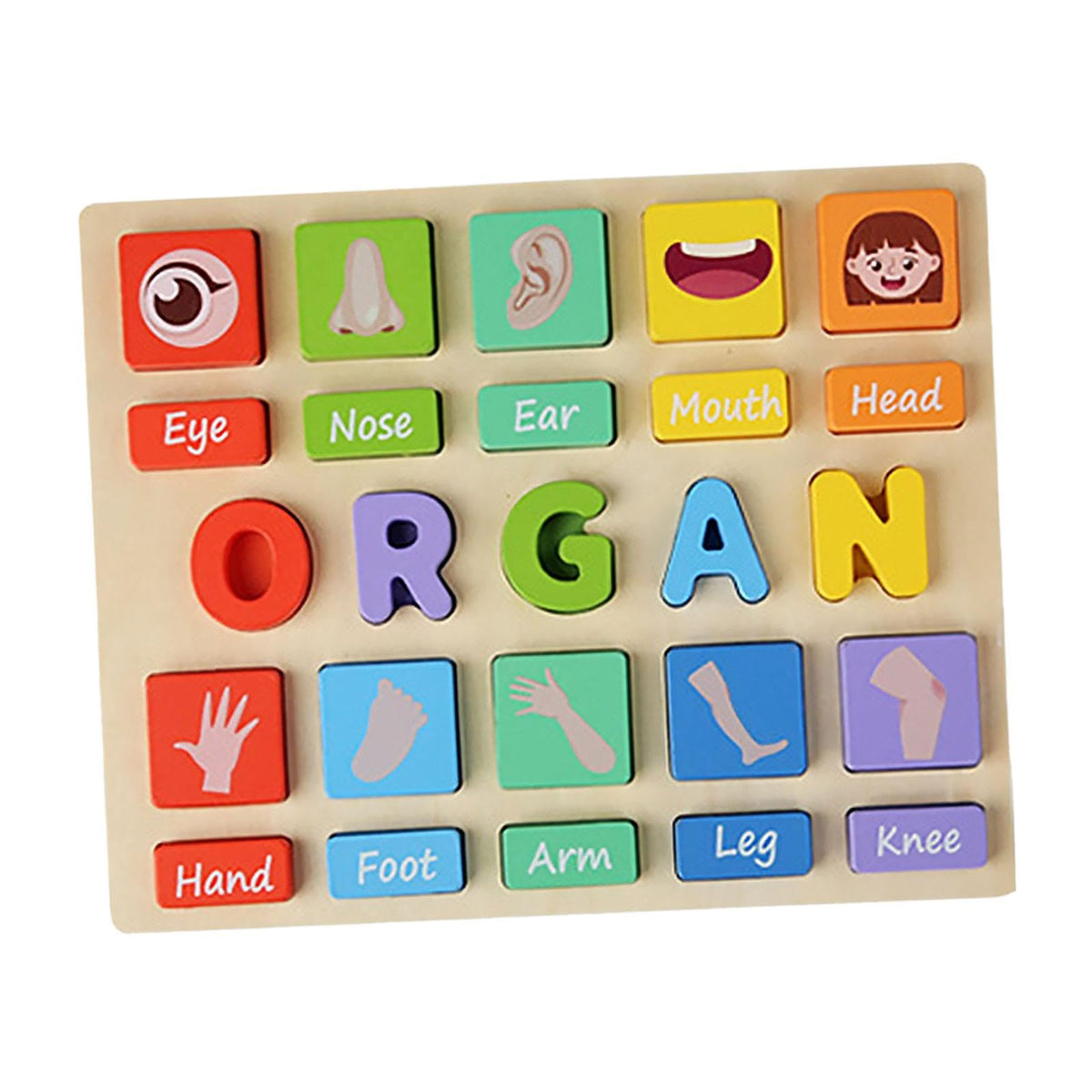 BnfPuzzle Game Practicing Sensory Toy Practical Matching Blocks Montessori Toy Organ|Toys & Hobbies|Educational|Other Educationa