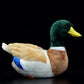 Double Bread 12' Mallard Duck Plush, Realistic Mallard Duck Stuffed Animal, Soft Lifelike Green Duck Toys Real Plushie Toy Gifts For Kids