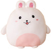 Casagood Soft Bunny Plush Hugging Pillow Cute White Rabbit Stuffed Animal Plushies Toy Bunny Rabbit Kids Stuffed Animals Plush Toys For Birthday, Valentine, Christmas 16 Inch
