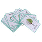 Jazzy Pearls Preschool Educational Flash Cards Trees  23 Pieces|Toys & Hobbies | Educational | Other Educational Toys|1 Set Fla