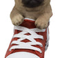 Ebros 'Paw-Star' Pups Lifelike Realistic Puppy Dog In Sneaker Chucks Shoe Statue Pedigree Breed Dogs Puppies Collectible Decor With Glass Eyes Pet Memorial Figurine (Fawn Pug)
