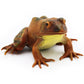 Gemini&Genius Tree Frog Figurine - Realistic Hand Painted Plastic Toy for Kids, Brown, Ideal for Backyard Decor and Educational Play, Ages 3+