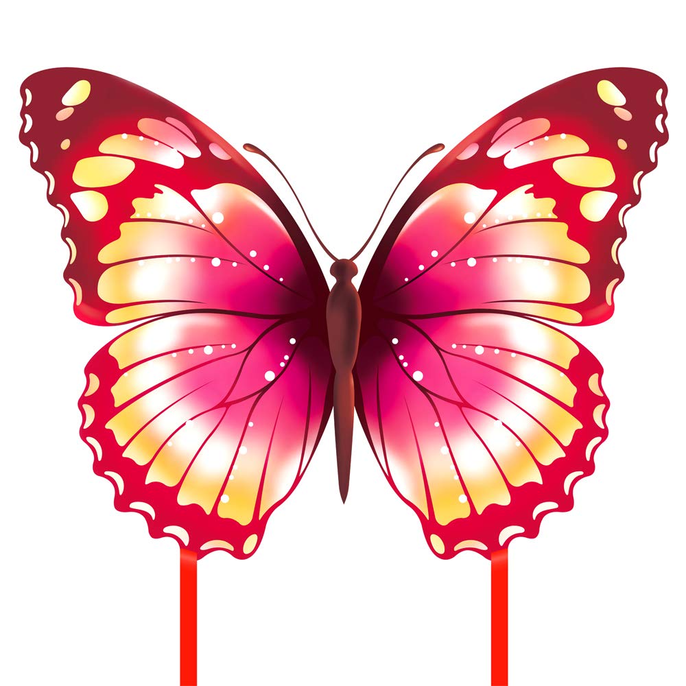 Butterfly Kite